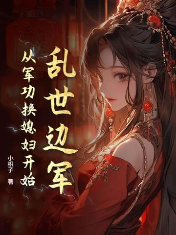 乱世边军周起全集