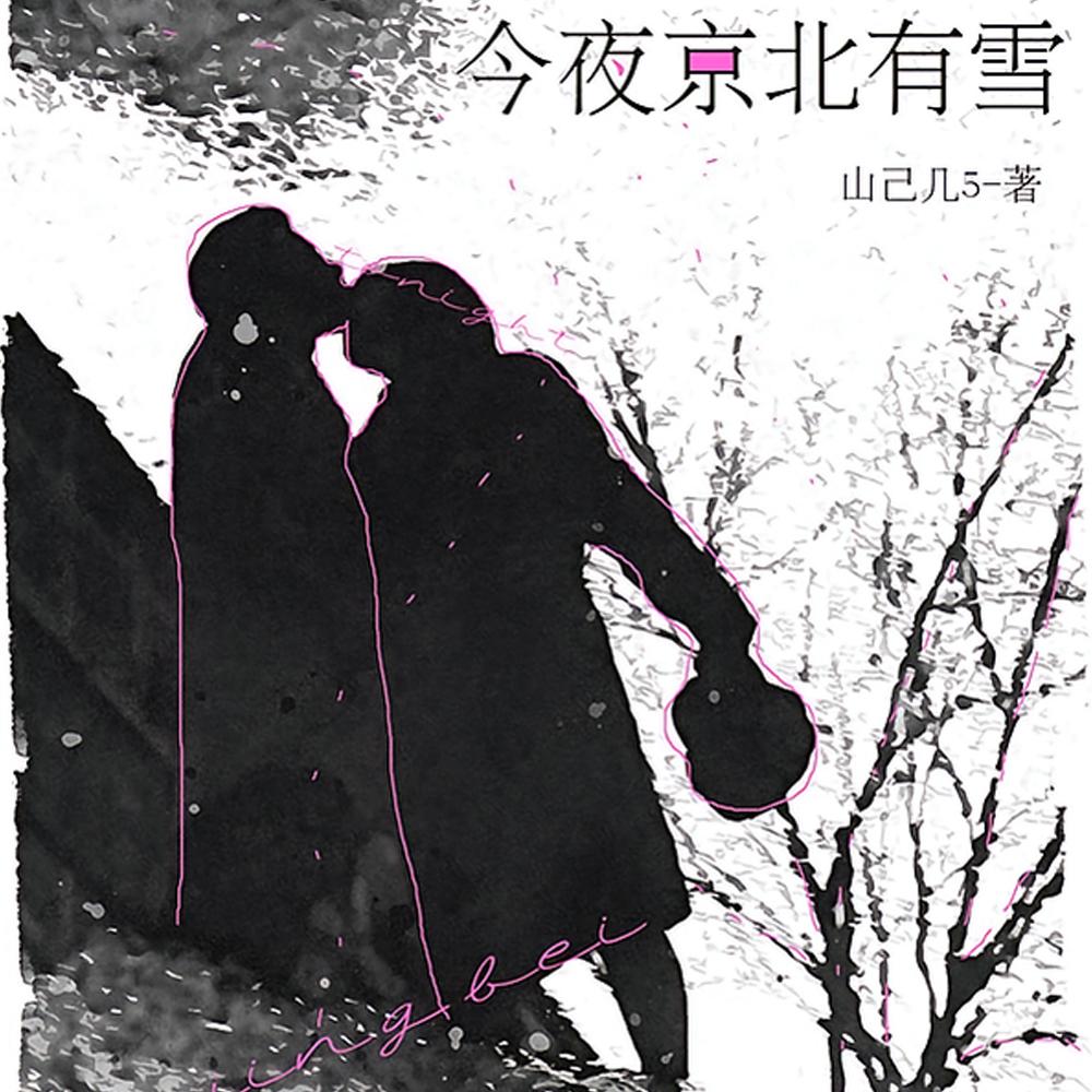今夜京北有雪txt百度云